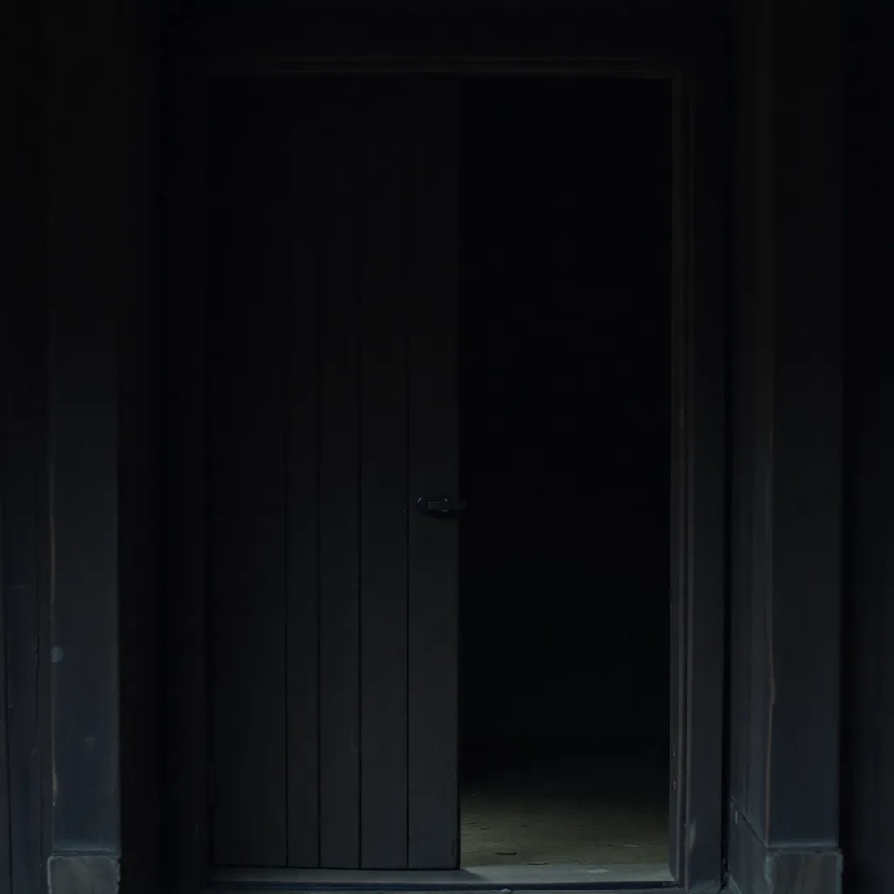 jakie drzwi do pomieszczenia gospodarczego