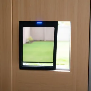 Automatyczne drzwiczki dla kota