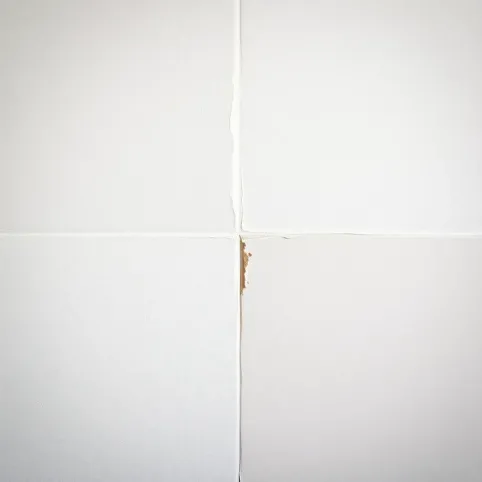 czy można klasc płytki na farbę