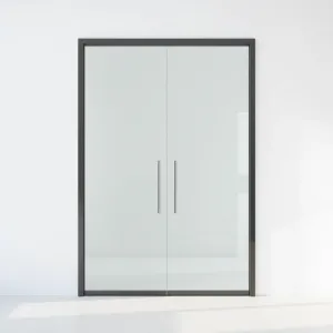 drzwi szklane z ościeżnicą