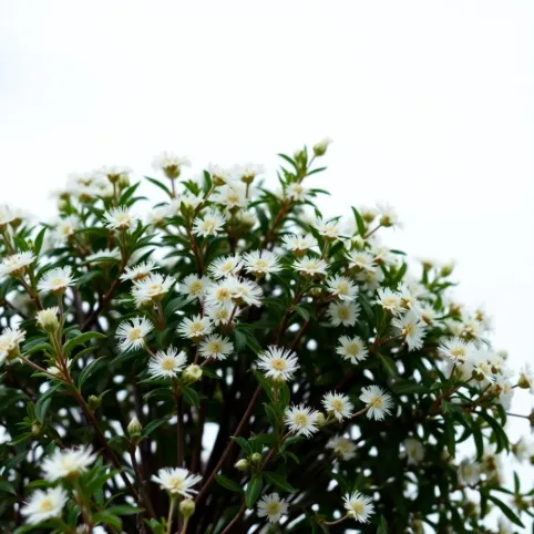 Jak odświeżyć płytki w łazience