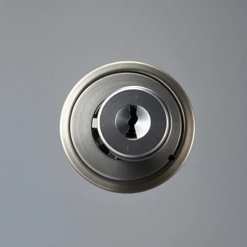 Jaka wkładka do drzwi