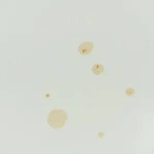 Plamy na płytkach z połyskiem