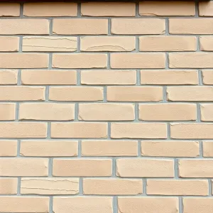 Płytka klinkierowa elewacyjna cena